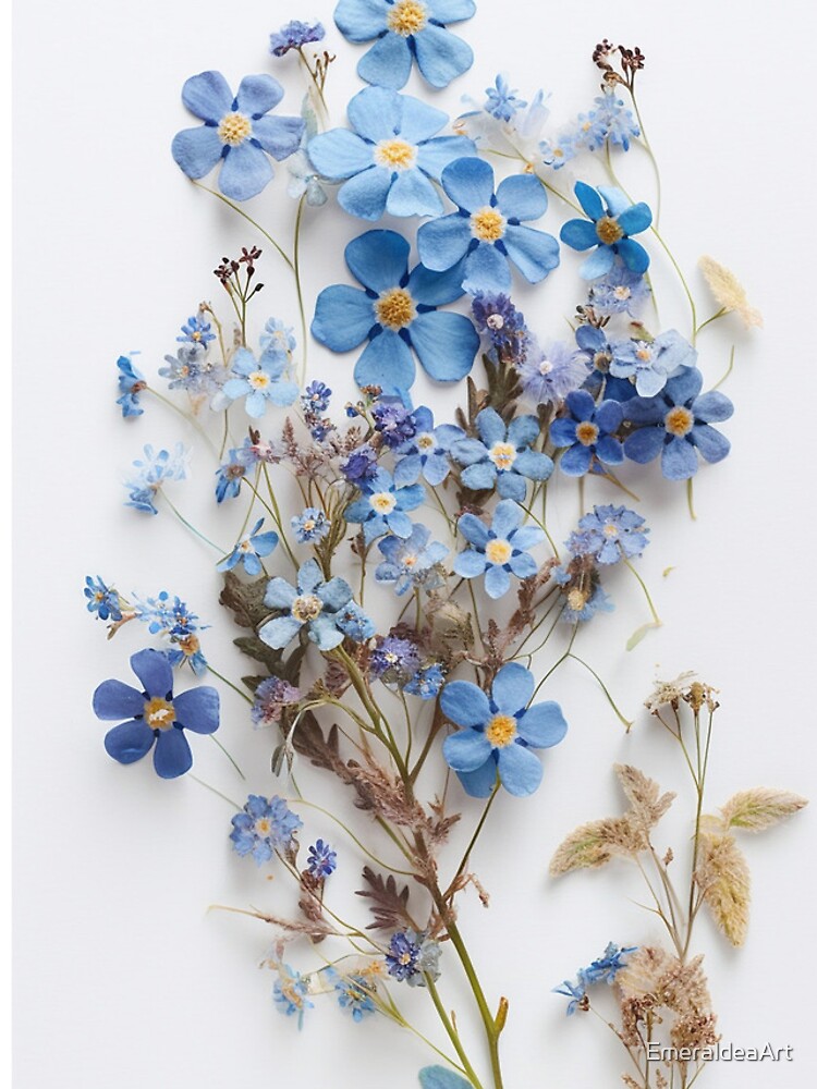 Natures Treasures Preserved: A Collection of Pressed Blooms