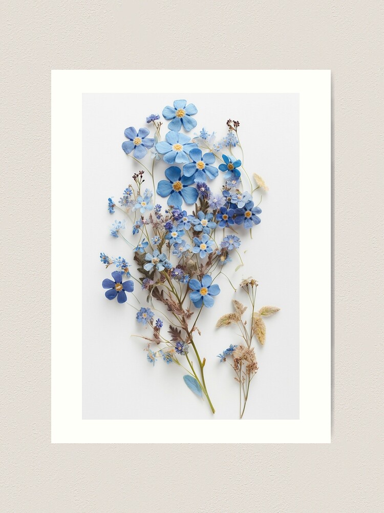 The Delicate Charm of Dried Florals - Pressed Dried flowers on white  background Poster for Sale by EmeraldeaArt