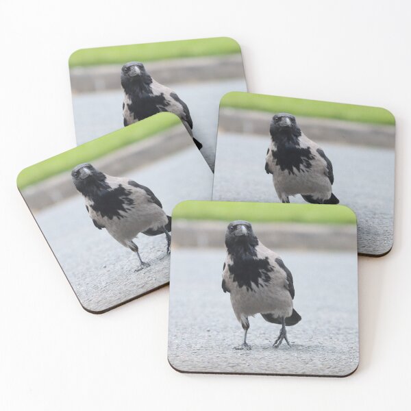 Item preview, Hooded crow designed and sold by GreyFeatherPhot.