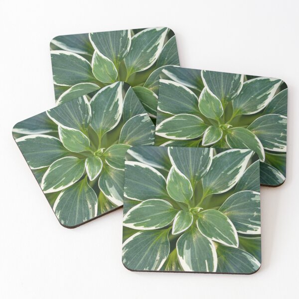 Item preview, Alstroemeria Psittacina Variegata designed and sold by Jacquiamber.
