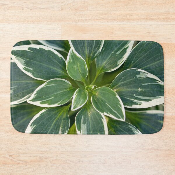 Item preview, Alstroemeria Psittacina Variegata designed and sold by Jacquiamber.