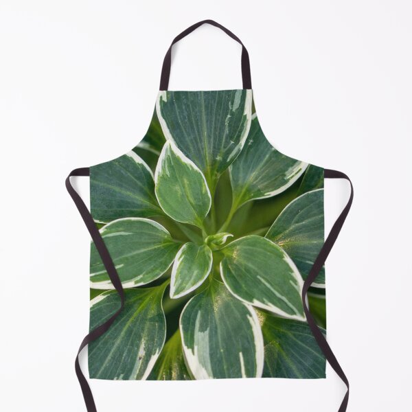 Item preview, Alstroemeria Psittacina Variegata designed and sold by Jacquiamber.