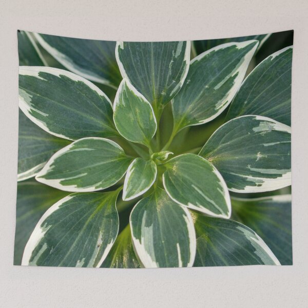Item preview, Alstroemeria Psittacina Variegata designed and sold by Jacquiamber.
