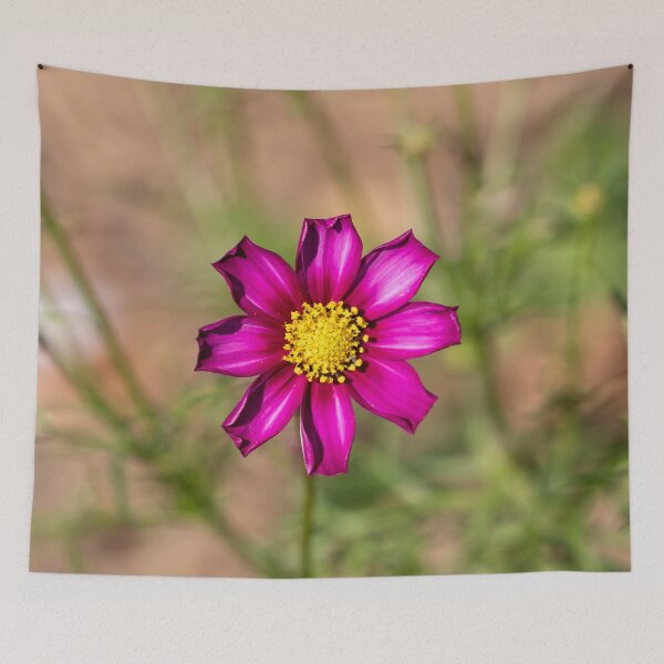 Item preview, Garden Cosmos designed and sold by Jacquiamber.