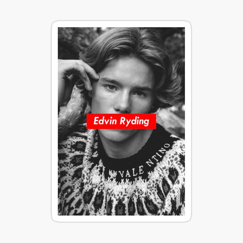 EDVIN RYDING Pet Blanket for Sale by Ruthbuth