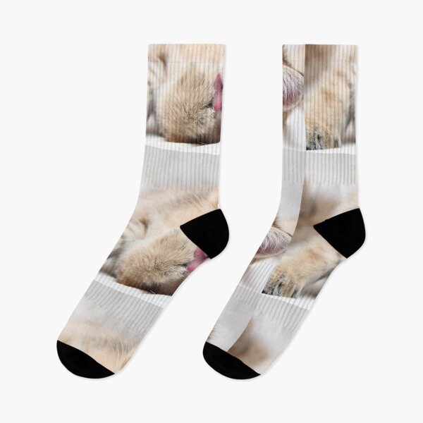 Item preview,  kitten designed and sold by Chukidesign.