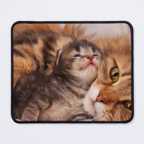 Item preview, kitten designed and sold by Chukidesign.