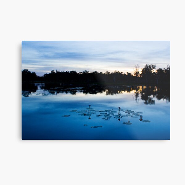 Metal Print