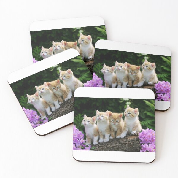 Aperçu de l'œuvre  kitten créée et vendue par Chukidesign.