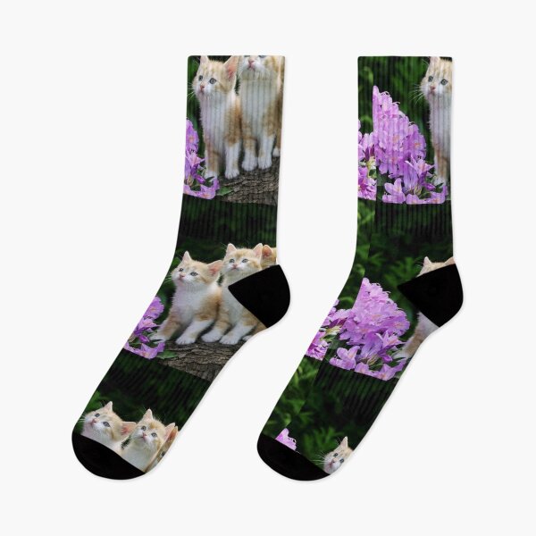 Aperçu de l'œuvre kitten créée et vendue par Chukidesign.