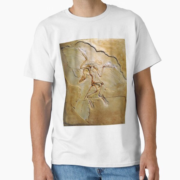 Artikel-Vorschau von Archaeopteryx-Fossil, Berliner Exemplar (C010/2628), designt und verkauft von SciencePhoto.