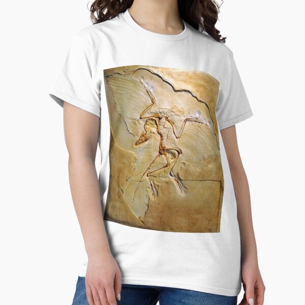 Item preview, Archaeopteryx fossil, Berlin specimen (C010/2628) designed and sold by SciencePhoto.
