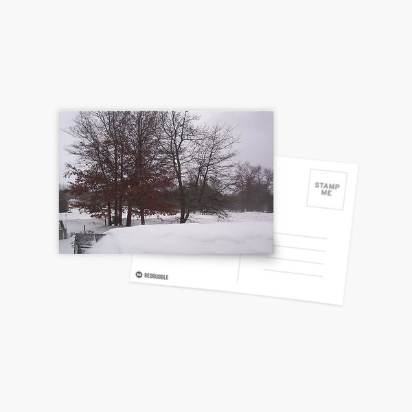snow, snow, snow, Postcard