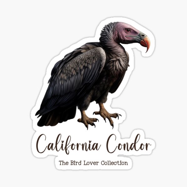 Item preview, California Condor - The Bird Lover Collection designed and sold by GoodOldVintage.