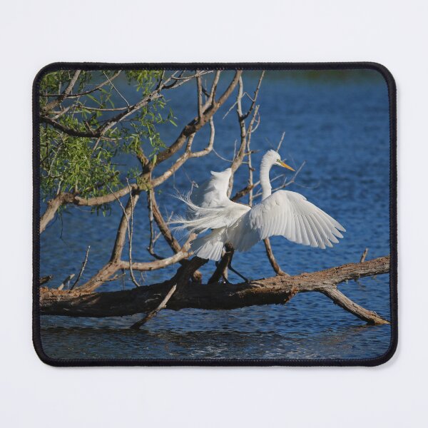 Item preview, Guarded Intentions designed and sold by Michiale.