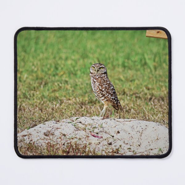 Item preview, Guarding the Burrow designed and sold by Michiale.