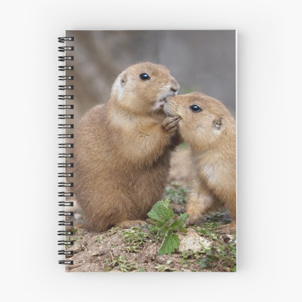 Item preview, Kiss me Quick! (Black-Tailed Prairie Dogs) designed and sold by Krys Bailey.
