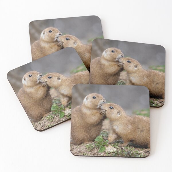 Item preview, Kiss me Quick! (Black-Tailed Prairie Dogs) designed and sold by Krys Bailey.