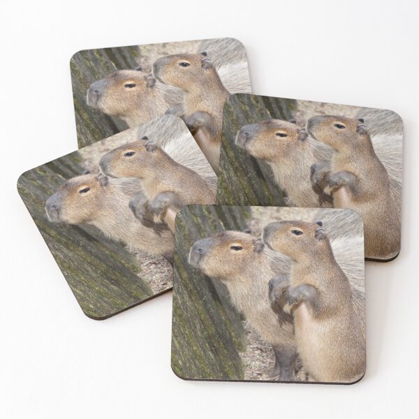 Item preview, Cute Capys designed and sold by Krys Bailey.