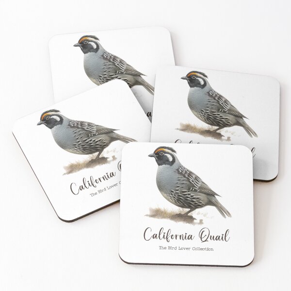 Item preview, California Quail - The Bird Lover Collection designed and sold by GoodOldVintage.