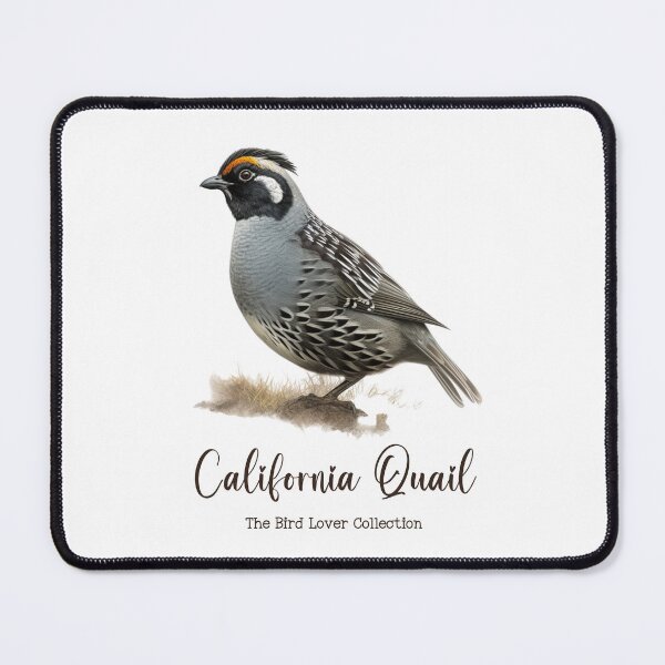 Item preview, California Quail - The Bird Lover Collection designed and sold by GoodOldVintage.