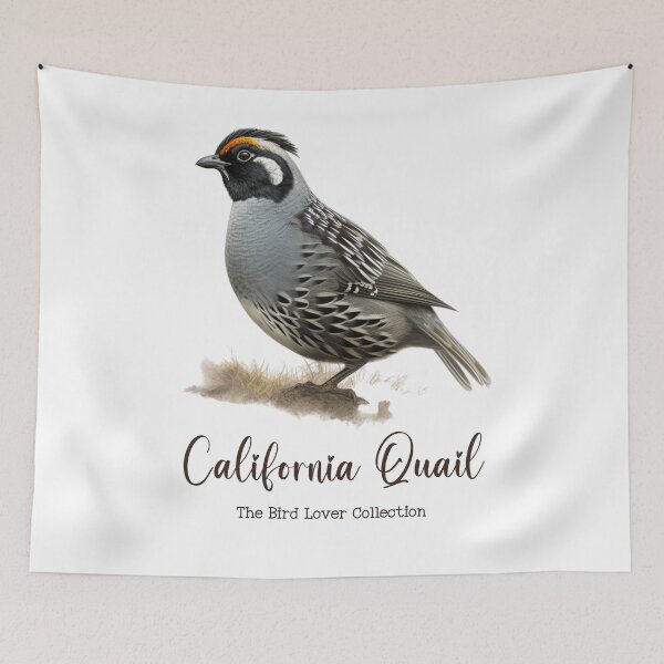Item preview, California Quail - The Bird Lover Collection designed and sold by GoodOldVintage.