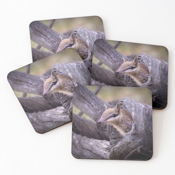 Item preview, Numbat poking head from log designed and sold by gwenthewren.