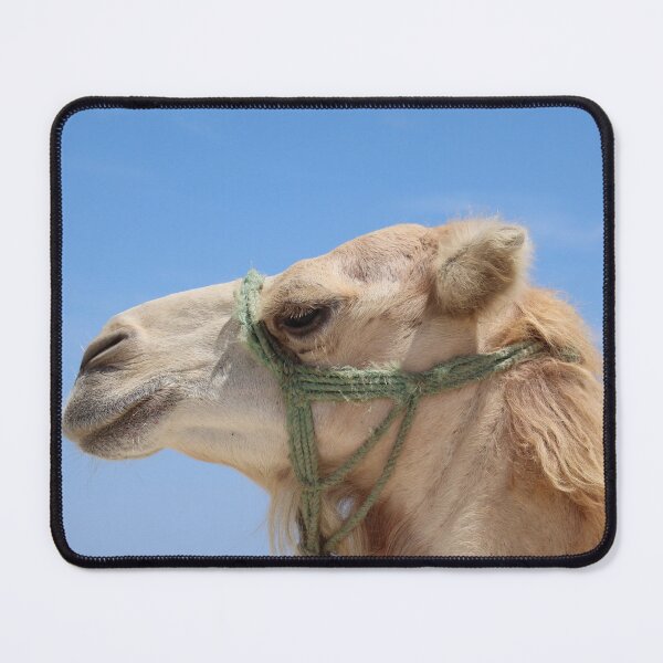 Item preview, camel face designed and sold by pinkitheart.