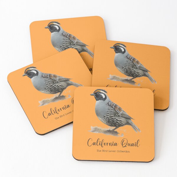 Item preview, California Quail - The Bird Lover Collection designed and sold by GoodOldVintage.