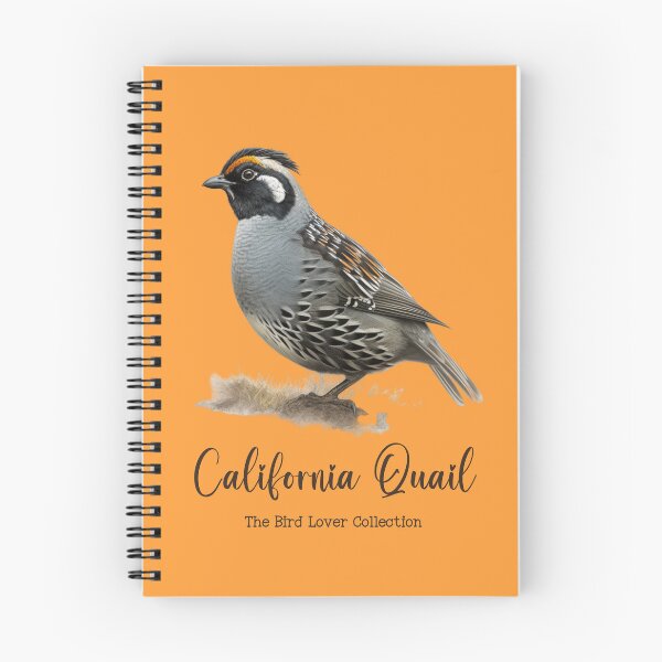 Item preview, California Quail - The Bird Lover Collection designed and sold by GoodOldVintage.