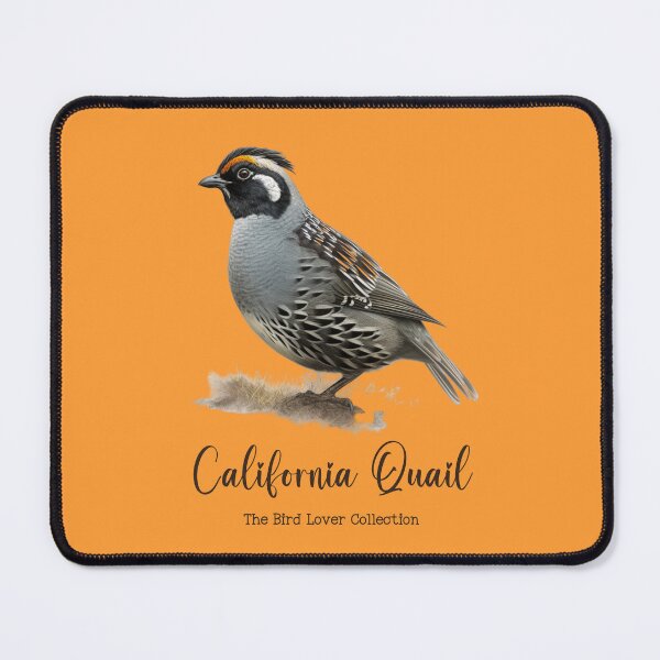Item preview, California Quail - The Bird Lover Collection designed and sold by GoodOldVintage.