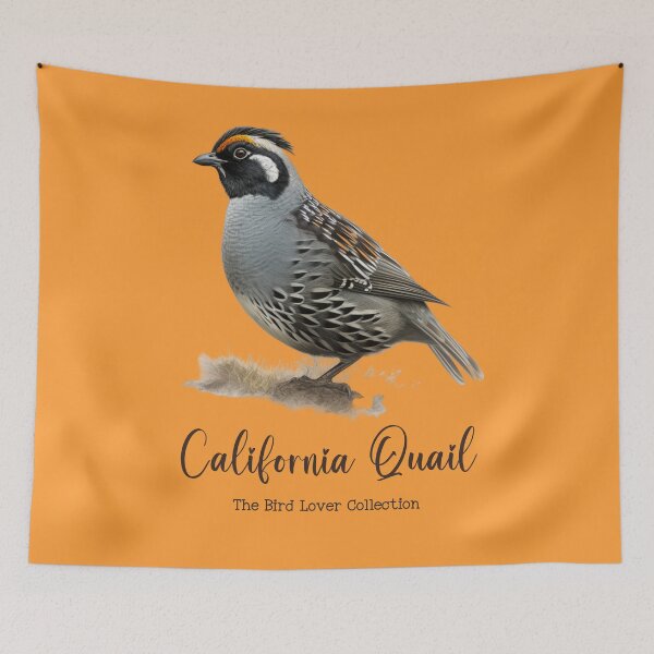 Item preview, California Quail - The Bird Lover Collection designed and sold by GoodOldVintage.