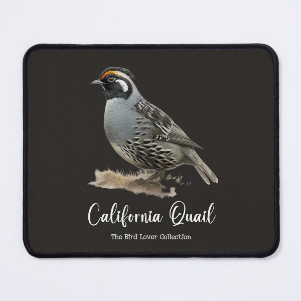 Item preview, California Quail - The Bird Lover Collection designed and sold by GoodOldVintage.