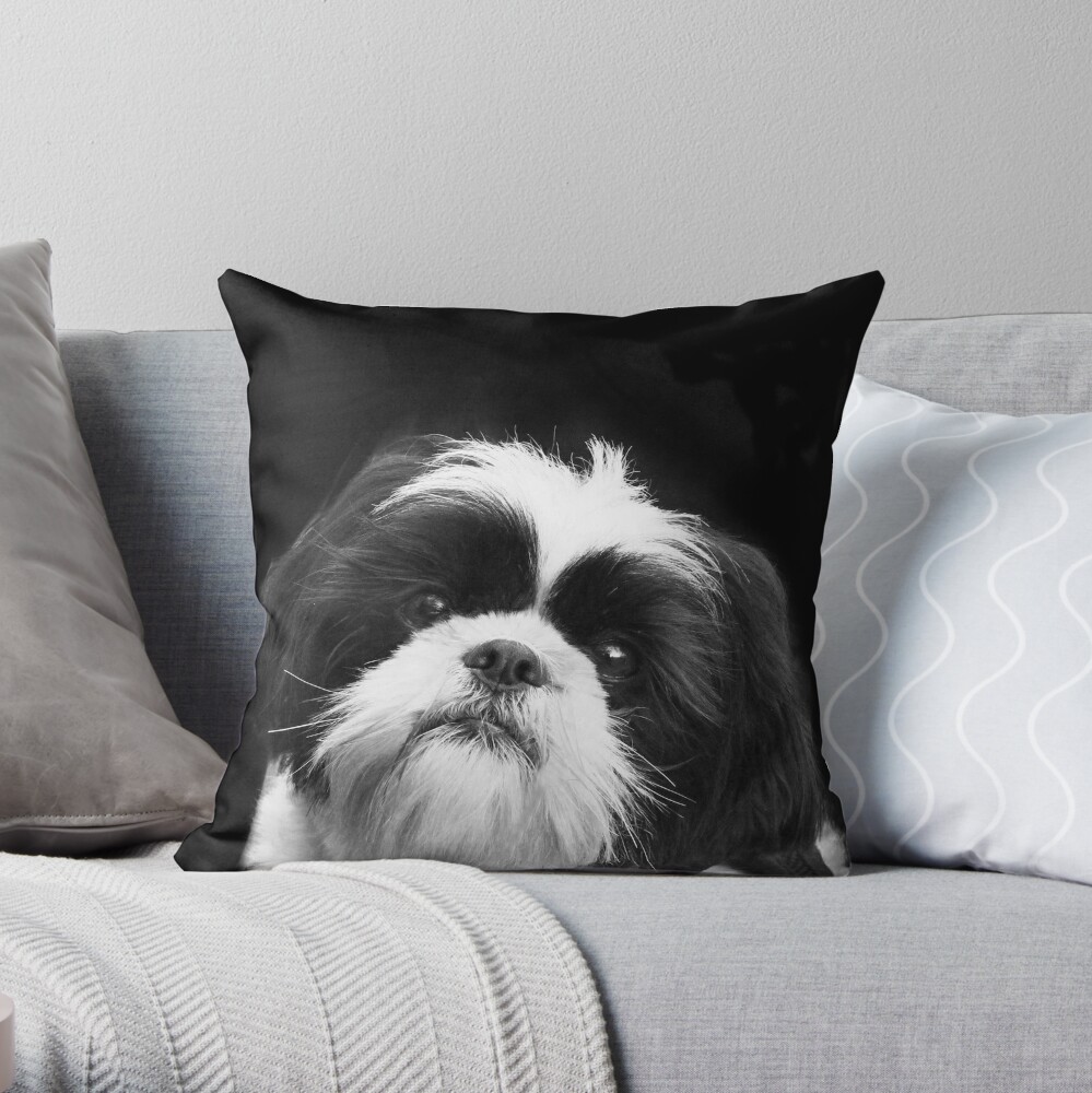 shih tzu pillow