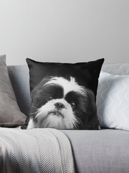 Artikel-Vorschau von Shih Tzu Hund, designt und verkauft von ritmoboxers.