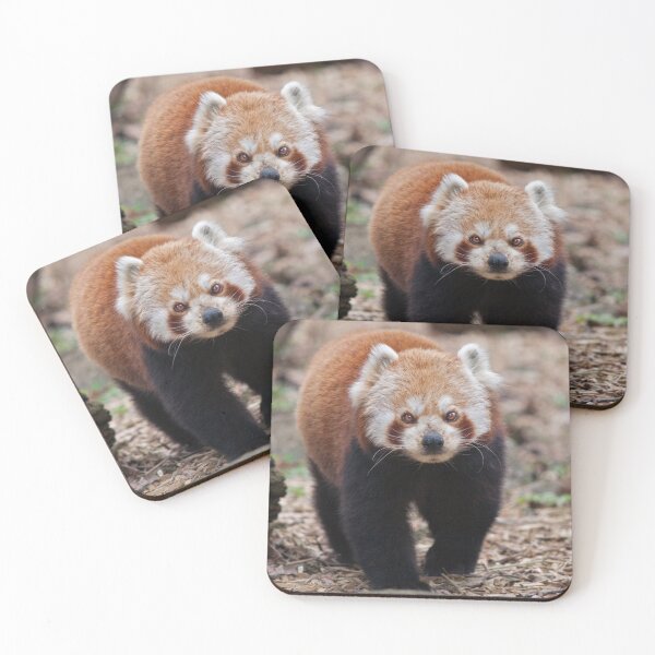 Item preview, Pandamonium designed and sold by Krys Bailey.