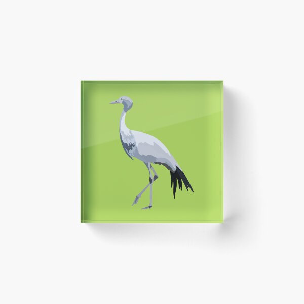 Item preview, B is for Blue Crane,Blue Crane – Graceful South African National Bird Illustration designed and sold by PrettylittlepastelUk.