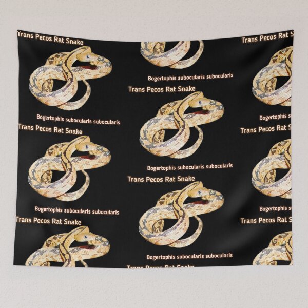 Item preview, Trans Pecos Rat Snake Bogertophis subocularis subocularis  designed and sold by StrangeFetish.
