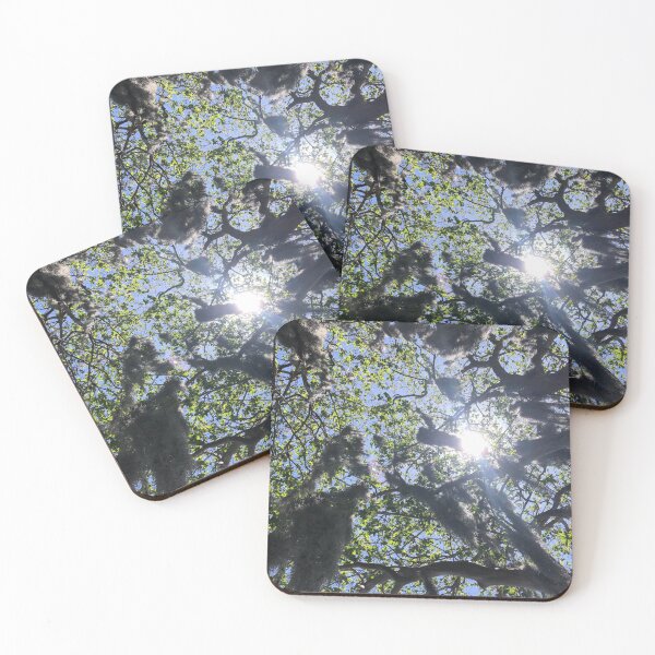 Item preview, Forest Canopy designed and sold by Moncrieff0713.