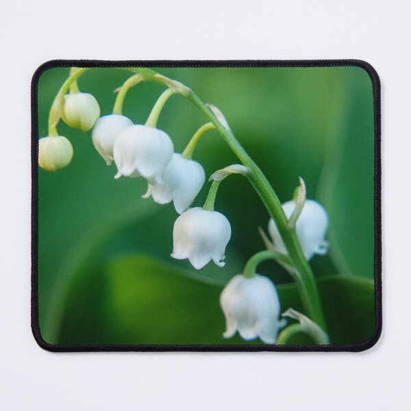 Item preview, Lily of the Valley - Flower Photography designed and sold by TriciaPhotos.