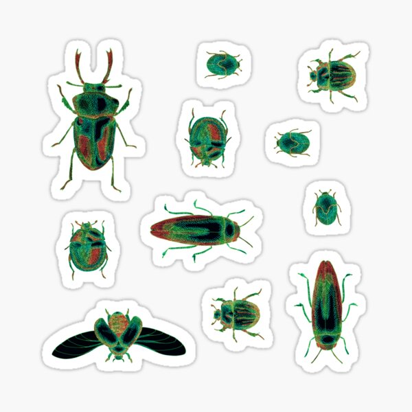 Psychedelic Beetles Sticker