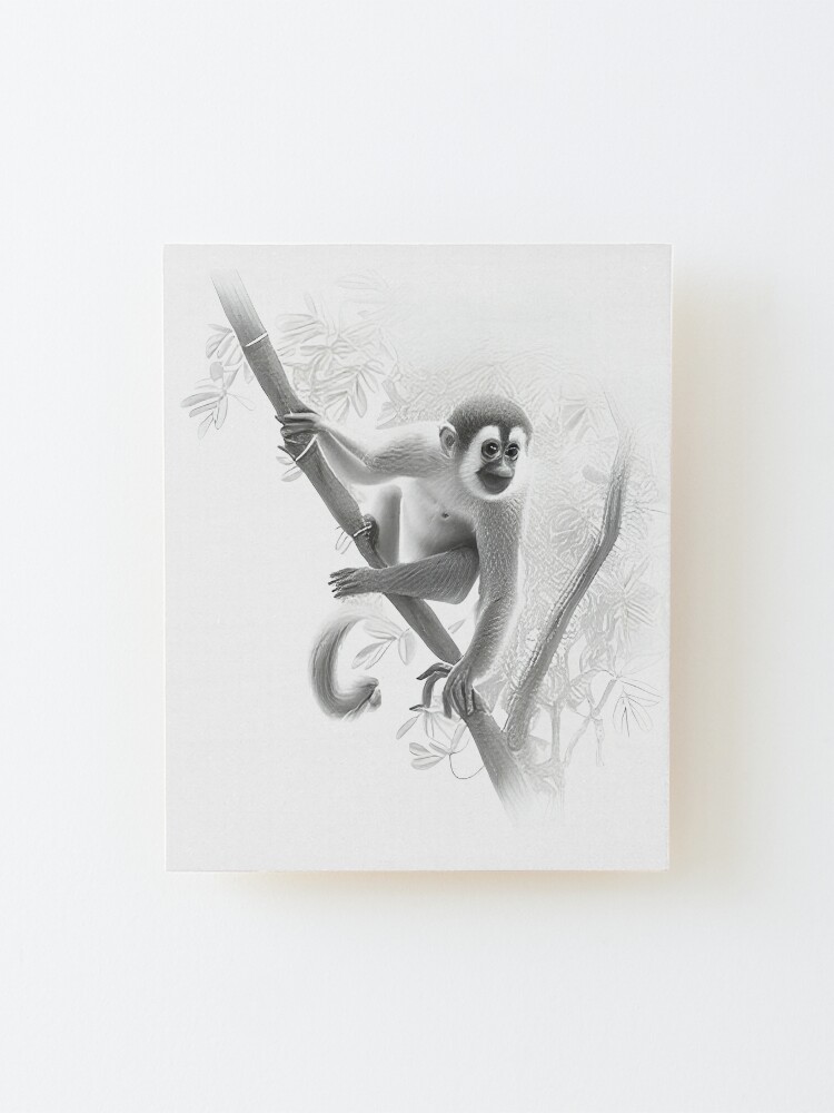 The weeping monkey - Grims pencil art - Drawings & Illustration, Animals,  Birds, & Fish, Primates, Monkeys - ArtPal