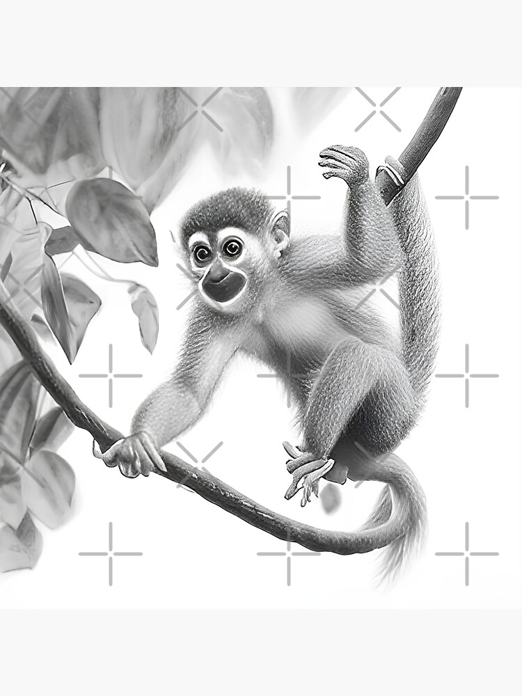 15+ Drawings Of Baby Monkeys | Monkey drawing, Cartoon monkey drawing, Monkey  drawing cute