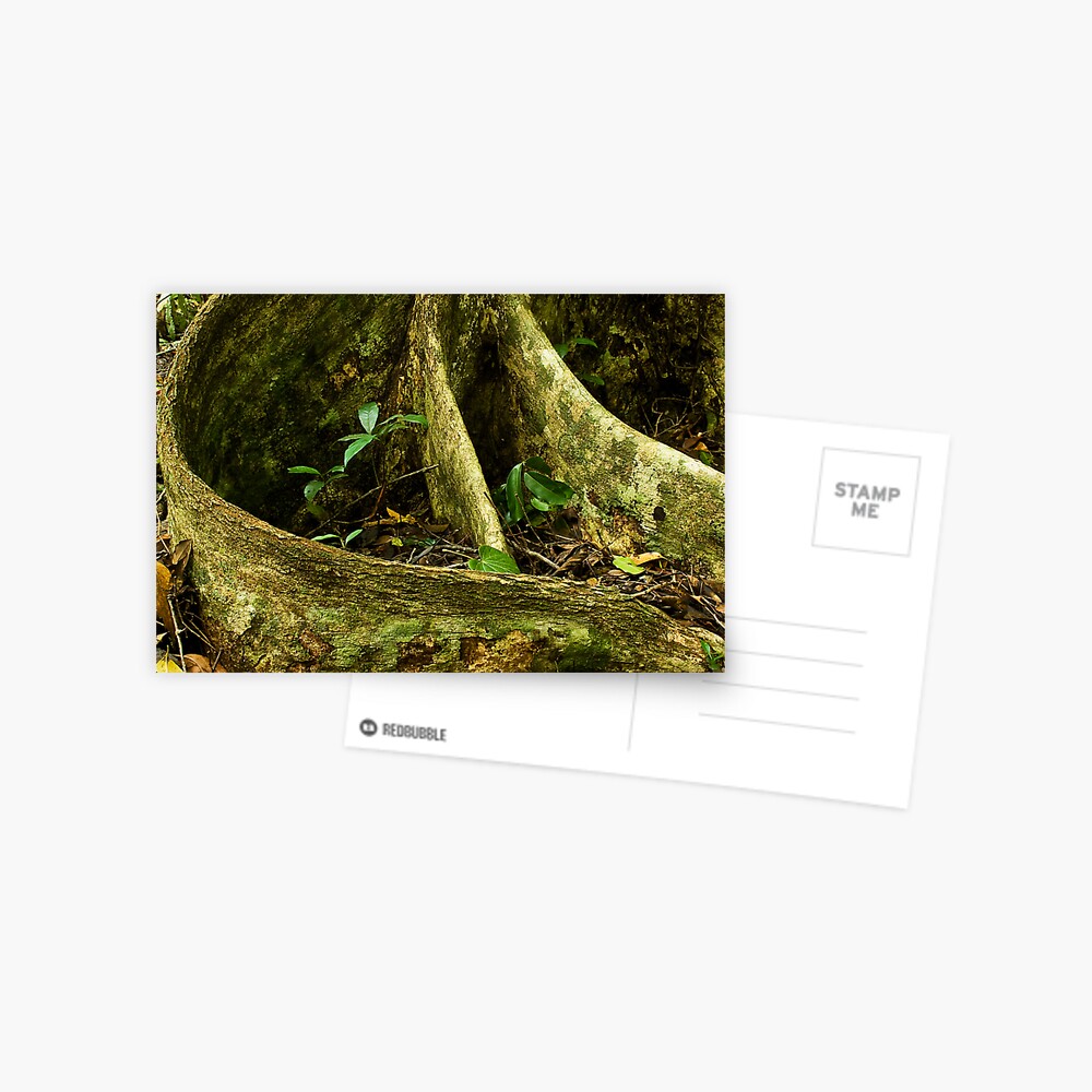 Comforting Embrace Postcard