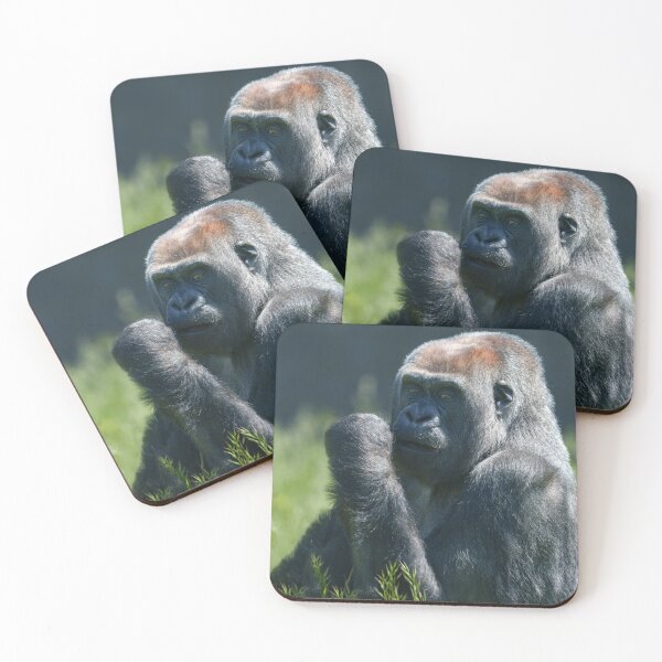 Item preview, Gorilla Asante designed and sold by rawshutterbug.