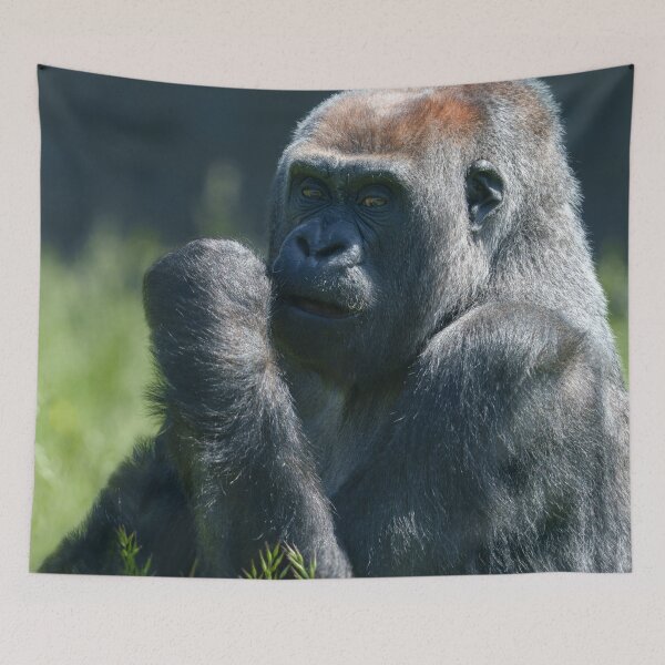 Item preview, Gorilla Asante designed and sold by rawshutterbug.