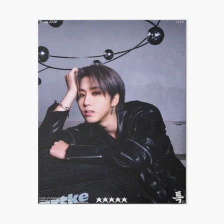 Han Jisung Stray Kids 5STAR SKZ 스트레이 키즈 3RACHA ot8 members