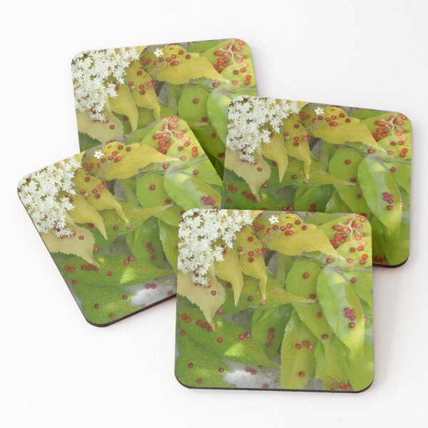Item preview, Flowers in a pool of water designed and sold by Claude Laprise.