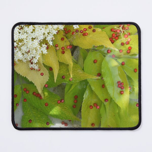 Item preview, Flowers in a pool of water designed and sold by Claude Laprise.