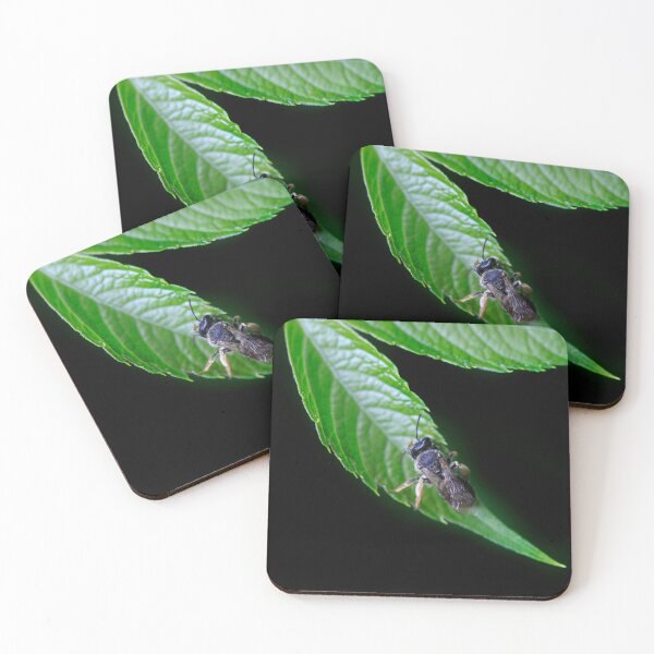 Item preview, Cute fly sitting on green leaf designed and sold by olena2552.